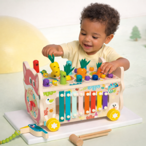 Zorro Sensorial Multiactividades